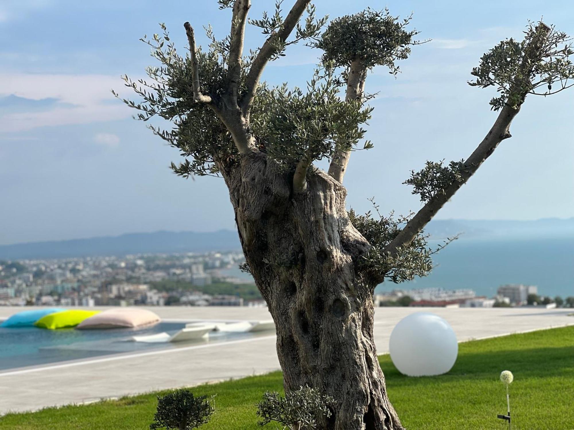 Villa Esmi Durres Kryemëdhej Екстериор снимка