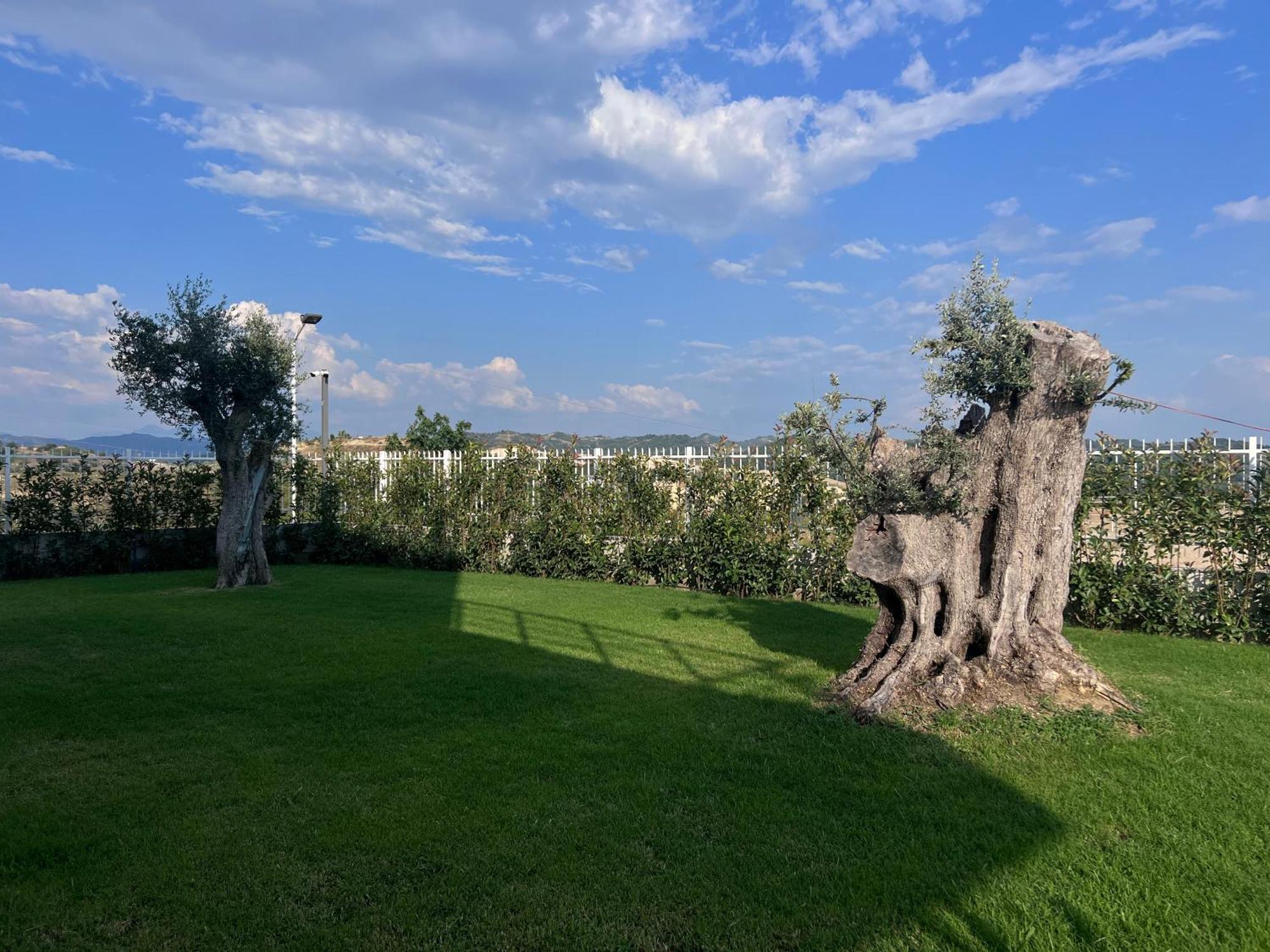 Villa Esmi Durres Kryemëdhej Екстериор снимка
